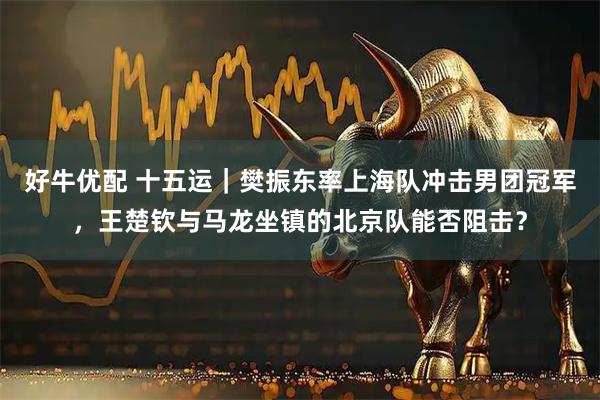 好牛优配 十五运｜樊振东率上海队冲击男团冠军，王楚钦与马龙坐镇的北京队能否阻击？