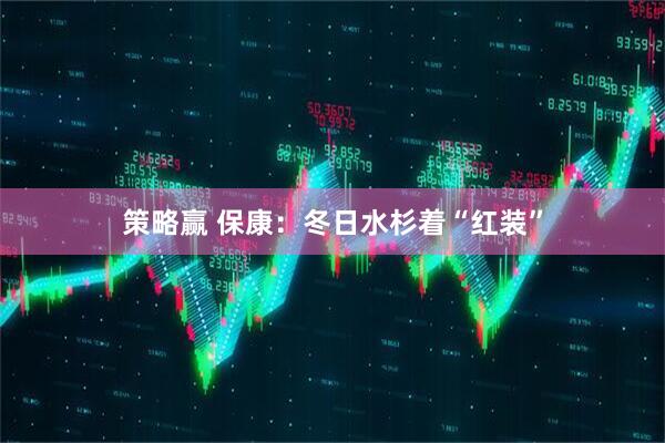 策略赢 保康：冬日水杉着“红装”