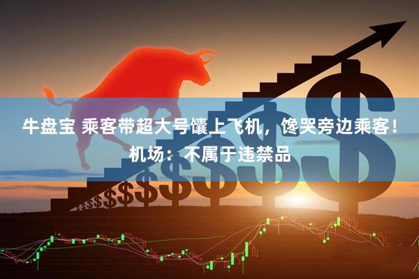 牛盘宝 乘客带超大号馕上飞机，馋哭旁边乘客！机场：不属于违禁品