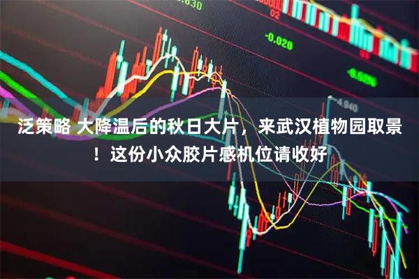 泛策略 大降温后的秋日大片，来武汉植物园取景！这份小众胶片感机位请收好