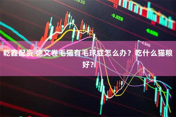 乾鑫配资 德文卷毛猫有毛球症怎么办？吃什么猫粮好？