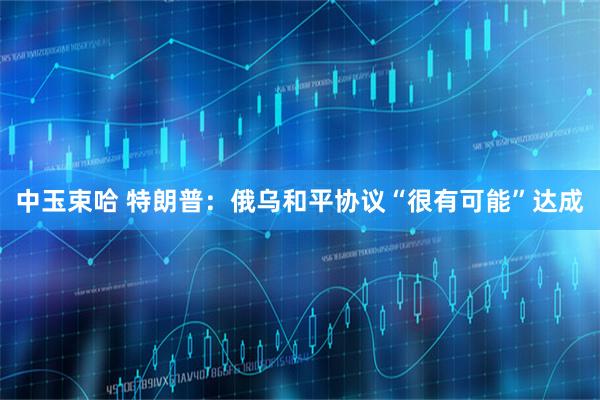 中玉束哈 特朗普：俄乌和平协议“很有可能”达成