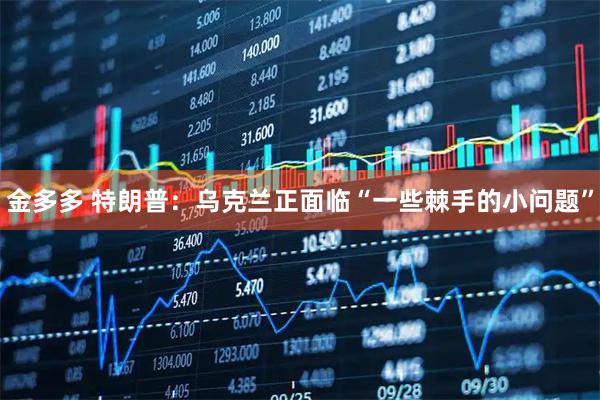 金多多 特朗普：乌克兰正面临“一些棘手的小问题”