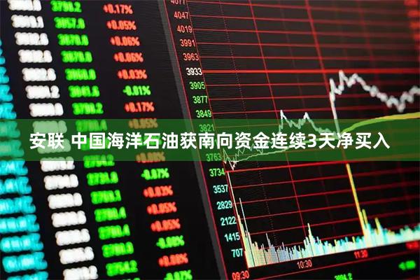 安联 中国海洋石油获南向资金连续3天净买入