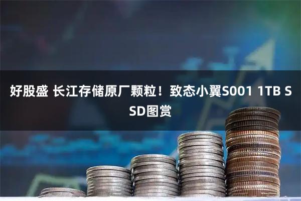 好股盛 长江存储原厂颗粒！致态小翼S001 1TB SSD图赏