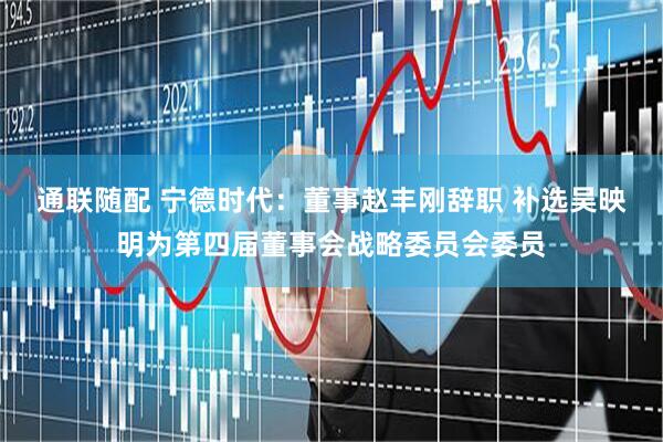 通联随配 宁德时代：董事赵丰刚辞职 补选吴映明为第四届董事会战略委员会委员
