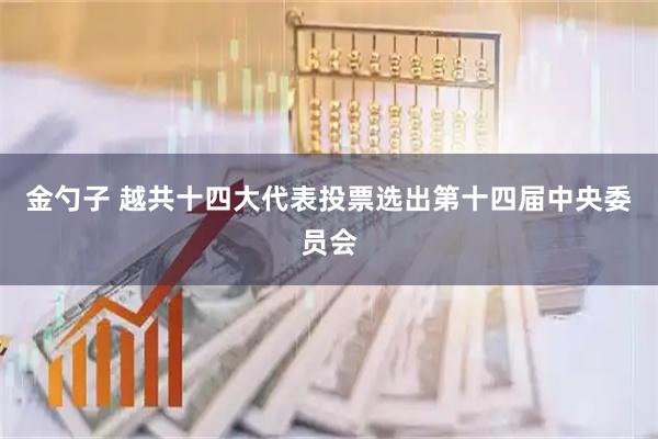 金勺子 越共十四大代表投票选出第十四届中央委员会