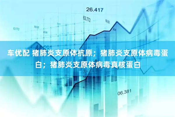 车优配 猪肺炎支原体抗原；猪肺炎支原体病毒蛋白；猪肺炎支原体病毒真核蛋白