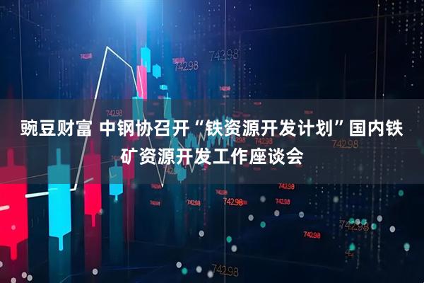 豌豆财富 中钢协召开“铁资源开发计划”国内铁矿资源开发工作座谈会